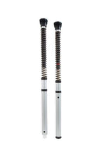 Load image into Gallery viewer, Ohlins 18-22 Harley Softail Sport Glide (Showa) NIX 30 Street Cartridge Kit (Incl. Springs/Notes)
