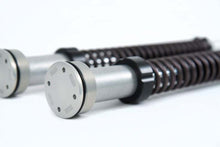 Load image into Gallery viewer, Ohlins 10-17 Harley Dyna (Showa) NIX 22 Cust/Heritage Cartridge Kt (Incl. Springs 04744-10 / 11)