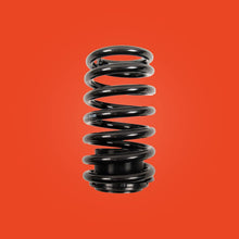 Load image into Gallery viewer, FORD MUSTANG SN95 COBRA 99-04 Coilovers - Riaction Performance Shocks