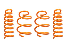Load image into Gallery viewer, 2018-2023 Kia Stinger GT-F Lowering Springs - ARK Performance