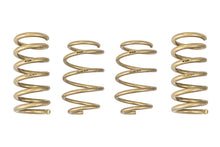 Load image into Gallery viewer, 2015-2021 Ford Mustang GT-S Lowering Springs - ARK Performance