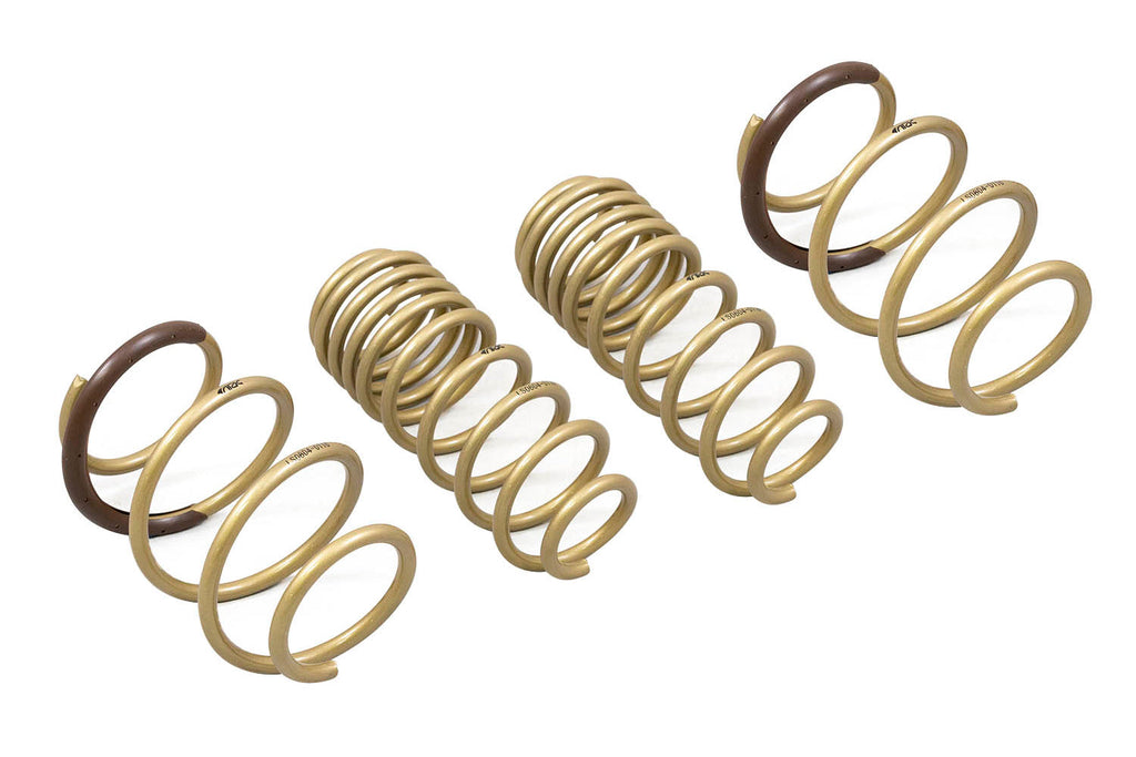 2016-2021 Honda Civic Hatchback | Coupe | Sedan GT-S Lowering Springs - ARK Performance