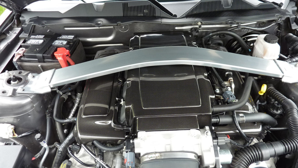 Ford Mustang GT Plenum Cover 2005-2009                      Ford Mustang GT Plenum Cover 2005-2009