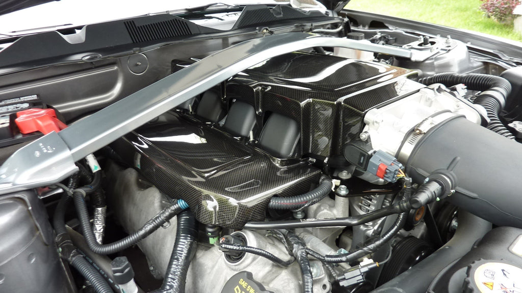 Ford Mustang GT Plenum Cover 2005-2009                      Ford Mustang GT Plenum Cover 2005-2009