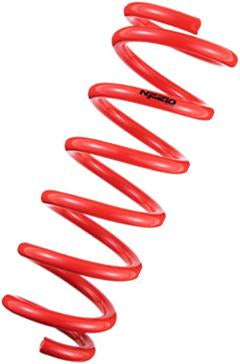Tanabe NF210 Springs 10-14 Cube