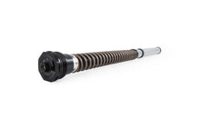 Load image into Gallery viewer, Ohlins 18-22 Harley Softail Sport Glide (Showa) NIX 30 Street Cartridge Kit (Incl. Springs/Notes)