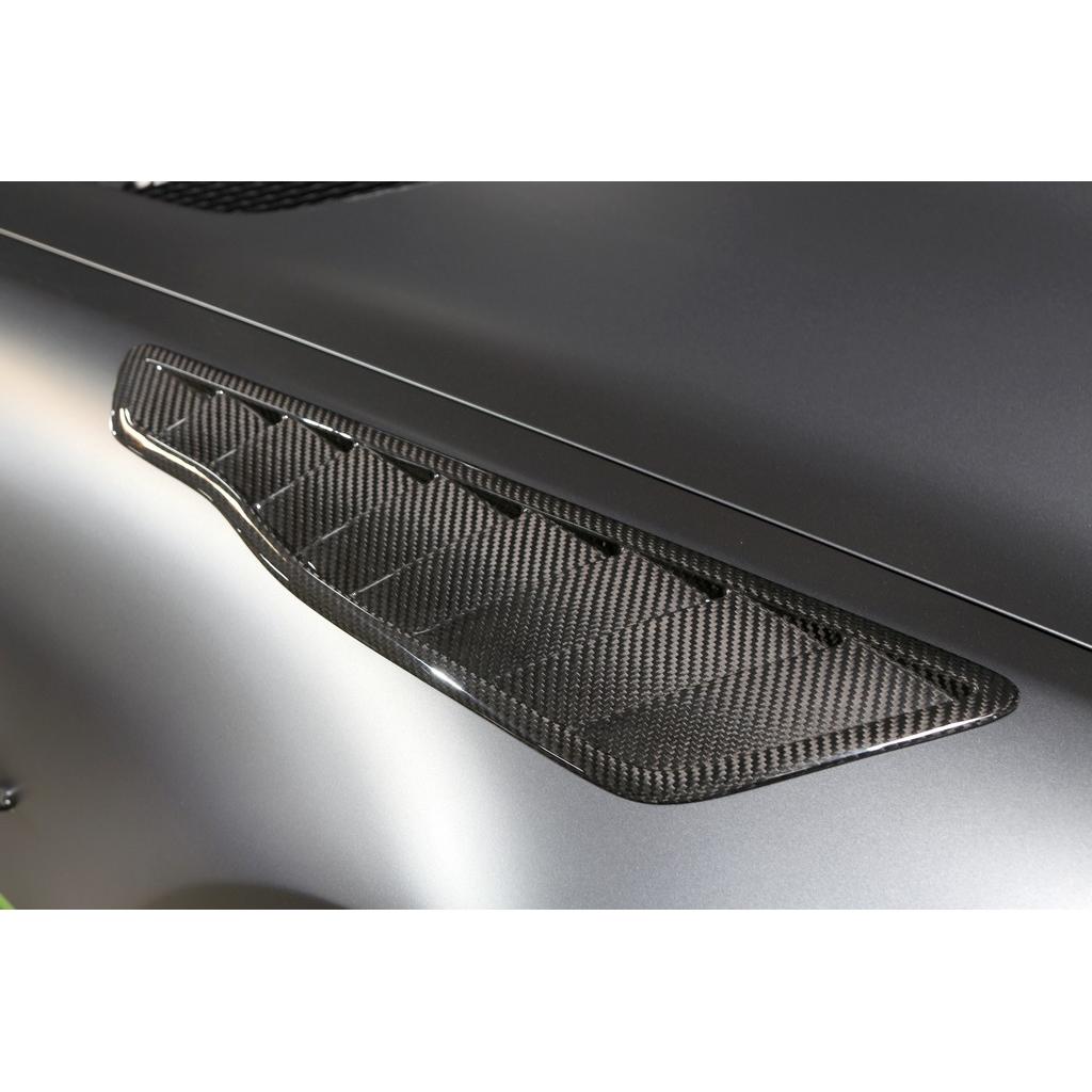 Mercedes Benz AMG GTR Pro Fender Vents 2020                      Mercedes Benz AMG GTR Pro Fender Vents 2020