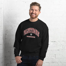 Load image into Gallery viewer, Valvetronic Varsity style sweatshirt
