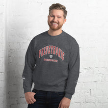 Load image into Gallery viewer, Valvetronic Varsity style sweatshirt