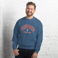 Load image into Gallery viewer, Valvetronic Varsity style sweatshirt