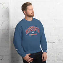 Load image into Gallery viewer, Valvetronic Varsity style sweatshirt