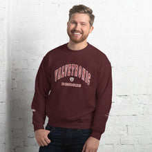 Load image into Gallery viewer, Valvetronic Varsity style sweatshirt