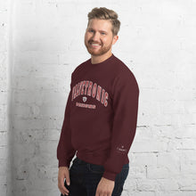 Load image into Gallery viewer, Valvetronic Varsity style sweatshirt