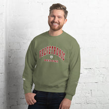 Load image into Gallery viewer, Valvetronic Varsity style sweatshirt