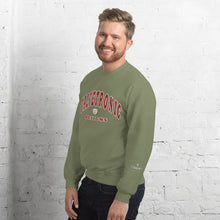 Load image into Gallery viewer, Valvetronic Varsity style sweatshirt