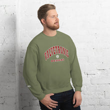 Load image into Gallery viewer, Valvetronic Varsity style sweatshirt