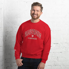 Load image into Gallery viewer, Valvetronic Varsity style sweatshirt