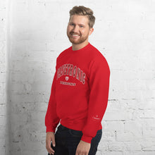 Load image into Gallery viewer, Valvetronic Varsity style sweatshirt