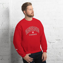 Load image into Gallery viewer, Valvetronic Varsity style sweatshirt