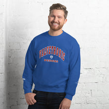 Load image into Gallery viewer, Valvetronic Varsity style sweatshirt
