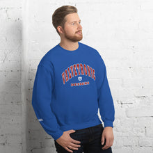 Load image into Gallery viewer, Valvetronic Varsity style sweatshirt