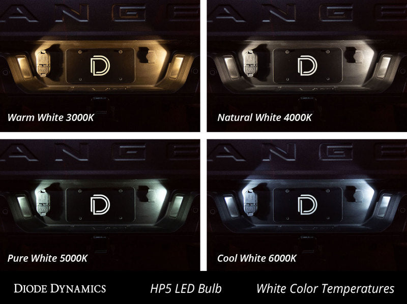 Diode Dynamics 194 LED Bulb HP5 LED Warm - White (Single)