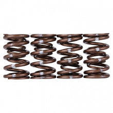 Load image into Gallery viewer, Skunk2 Pro Series Honda/Acura B-Series VTEC XP Valve Spring Set (Dual Springs)